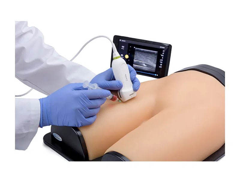 Blue phantom femoral vascular access