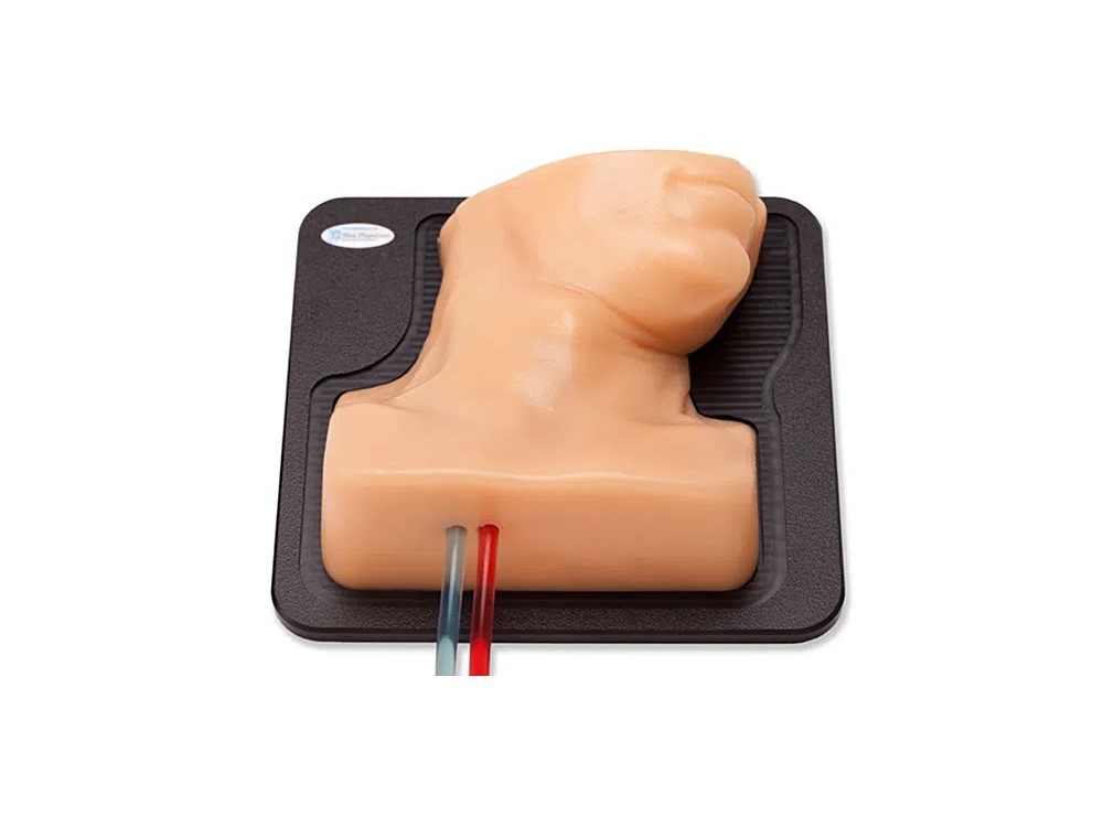 Internal Jugular central line ultrasound trainer