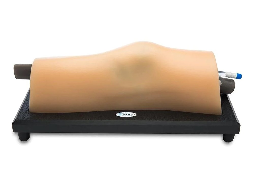 MSK knee ultrasound trainer