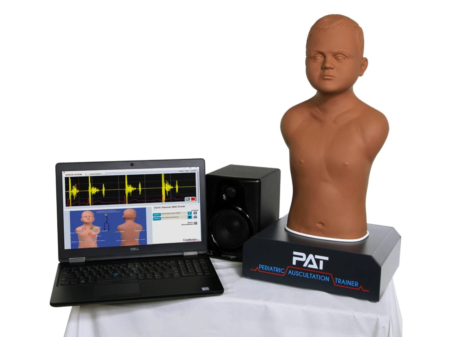Pediatric auscultation manikin