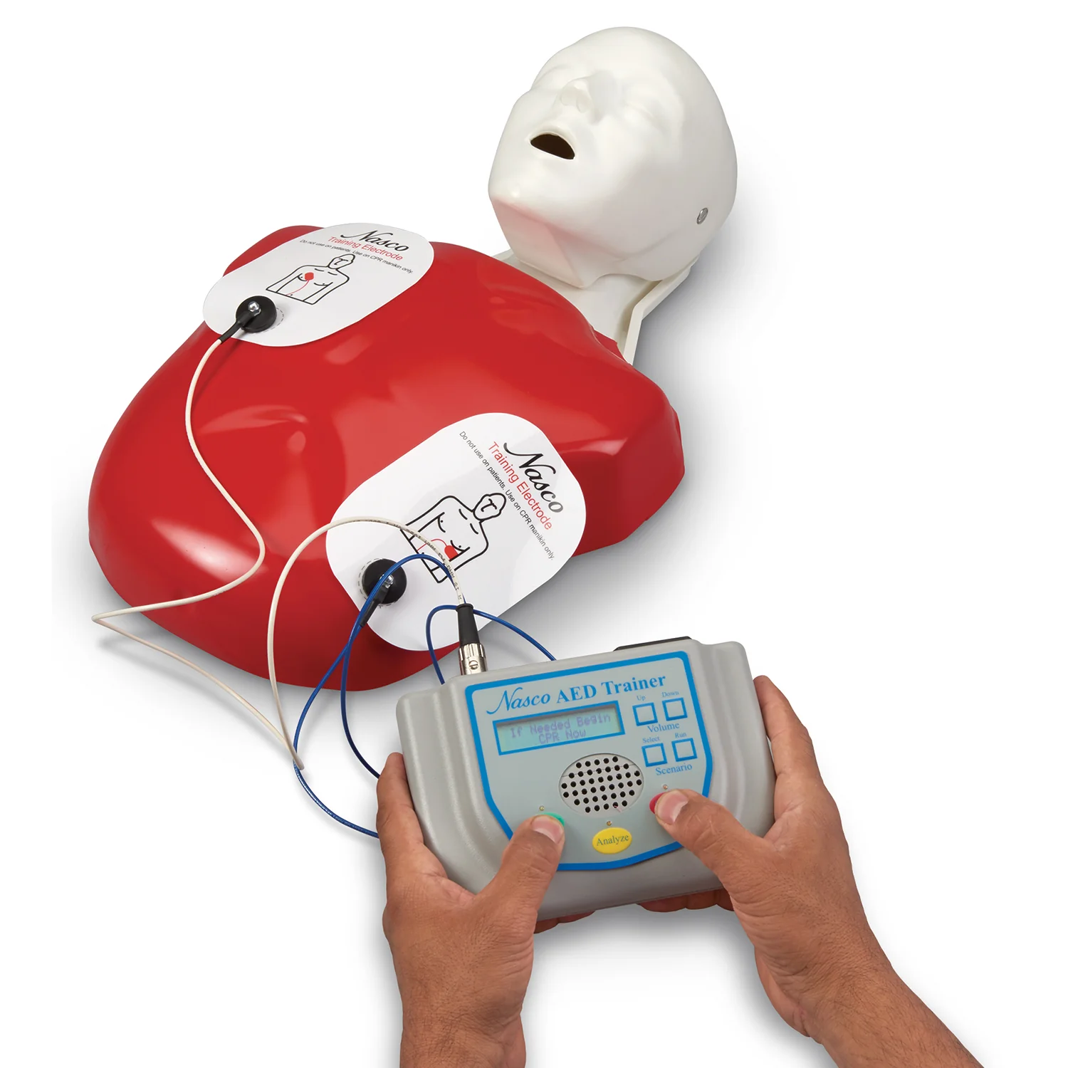 Basic buddy CPR manikin
