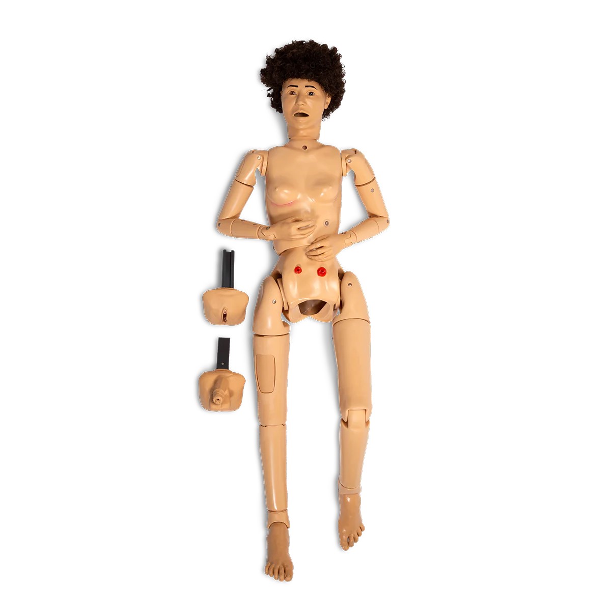 KERI complete manikin