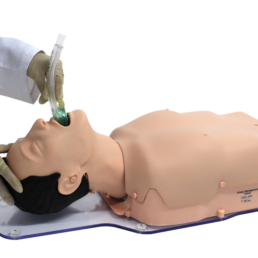 Airway management simulator
